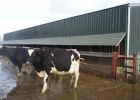 Perimiter-trough-with-cover-CG-5-12-07.jpg
