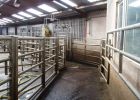 Parlour-auto-sort-CR-26-3-06.jpg